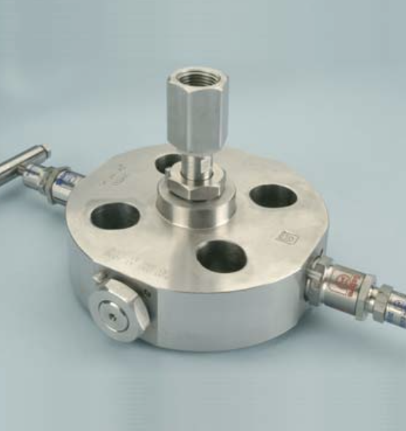Block & Bleed Valve